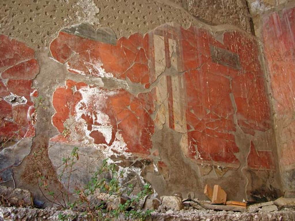 V.13, Herculaneum, September 2003. Looking towards east wall in room on upper floor, known as either room G, or room 16.
Photo courtesy of Nicolas Monteix.
According to Maiuri, this room was the sole large room of this apartment.
The walls were painted red with three panels separated by bands of painted candelabra with still-life paintings in the centre of each panel.
The zoccolo/dado was painted black.
The walls were painted red with three panels separated by bands of painted candelabra with still-life paintings in the centre of each panel.
The zoccolo/dado was painted black.